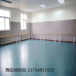 【舞蹈塑膠地板專用舞蹈房地膠】-