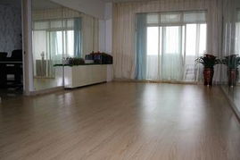 廣州番禺pvc塑膠運動地板排練室工廠專家高清圖片 高清大圖