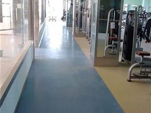 口碑好的健身房塑膠地板供應(yīng) 哪里有賣健身房塑膠地板