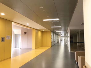 卡米諾建材 PVC商用卷材公司的優質塑膠地板供應與優惠圖片展示